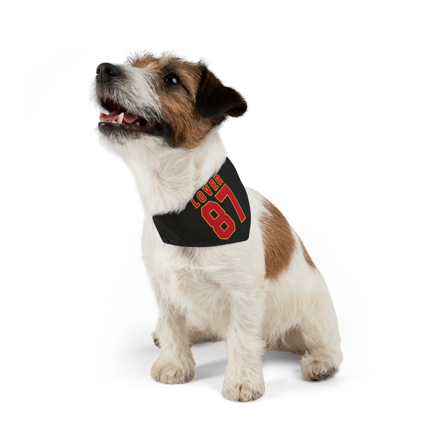 Lover 87 Swift and Kelce Valentine's Pet Bandana Collar with clasp