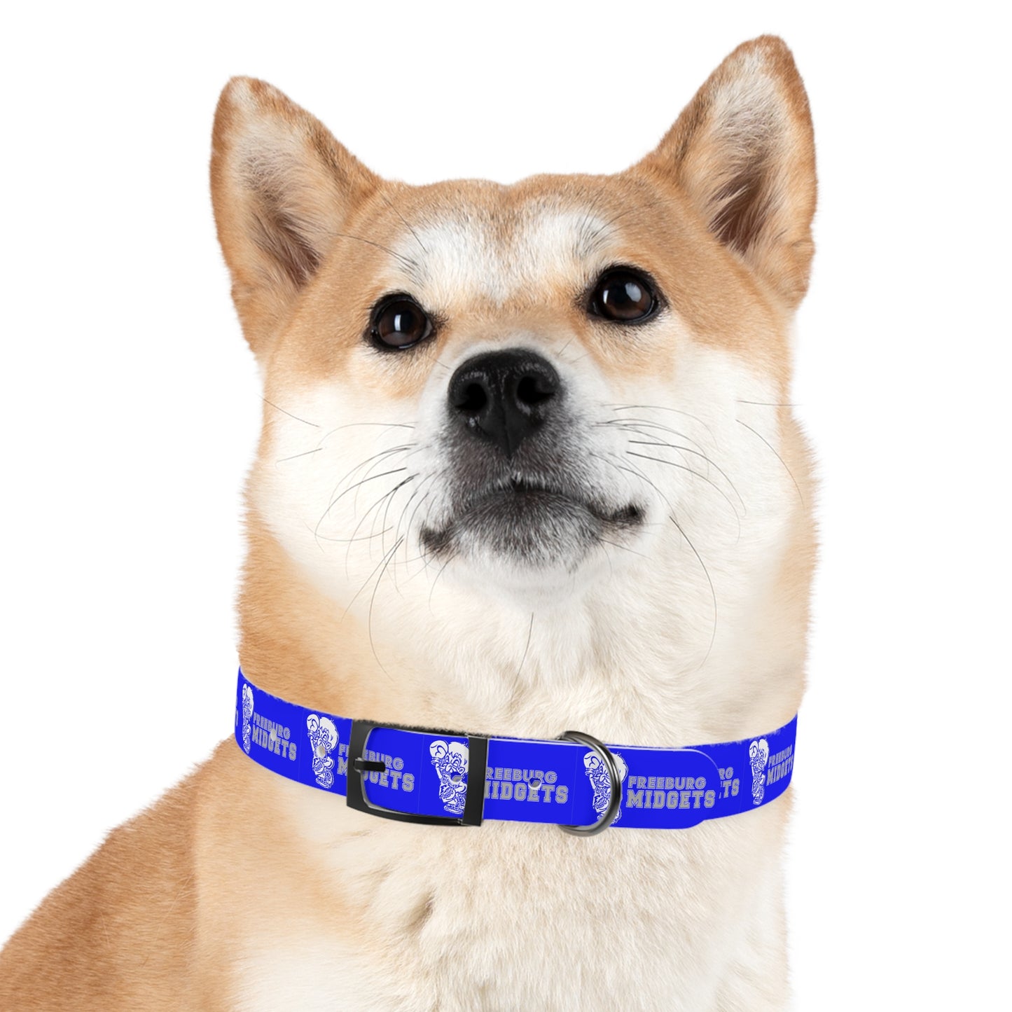 Freeburg Midgets Dog Collar