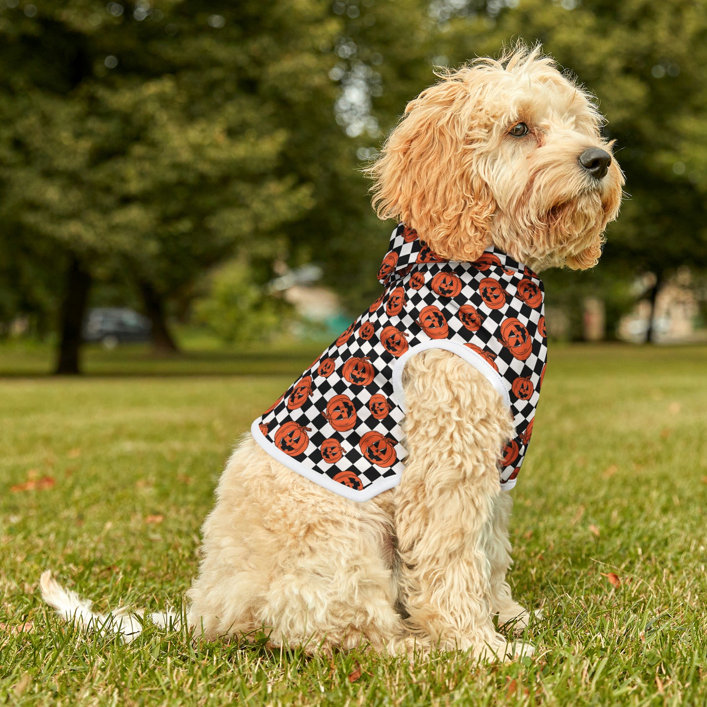 Halloween Jack-O-Lantern Pumpkin Pet Hoodie