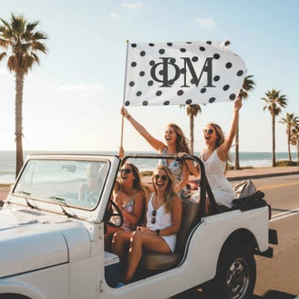 Phi Mu Flags