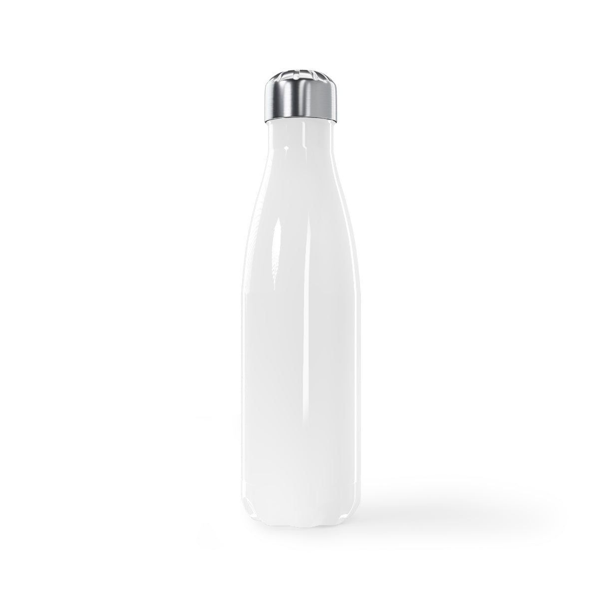 "It's the Most Wonderful Time of the Year" Stainless Steel Water Bottle, 17oz